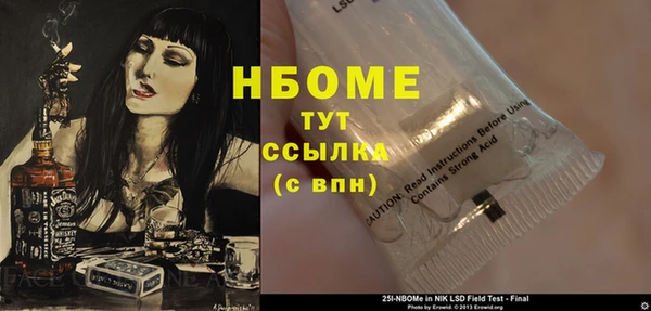 гашик Инсар