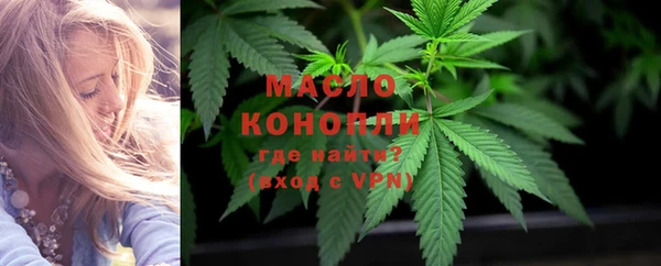 гашик Инсар