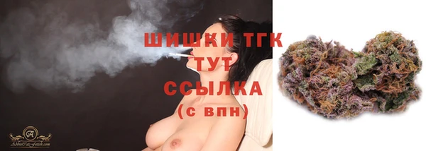 гашик Инсар