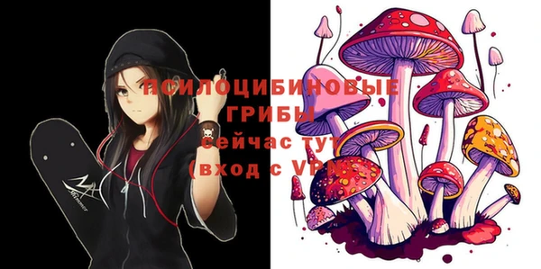 гашик Инсар