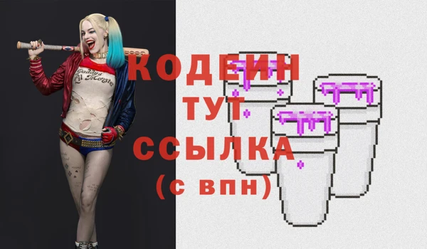 гашик Инсар